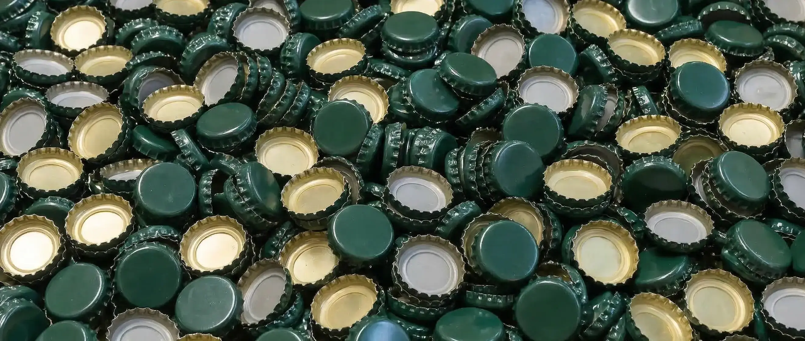 Nahaufnahme grüner Kronkorken (Verschlusskapseln) auf Wolfsegger Bierflaschen, Symbole für Hopfenfrische und handwerkliche Braukunst.